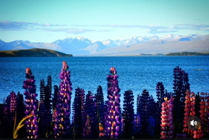 Lake Tekapo and the Church of the Good Shepherd, New Zealand