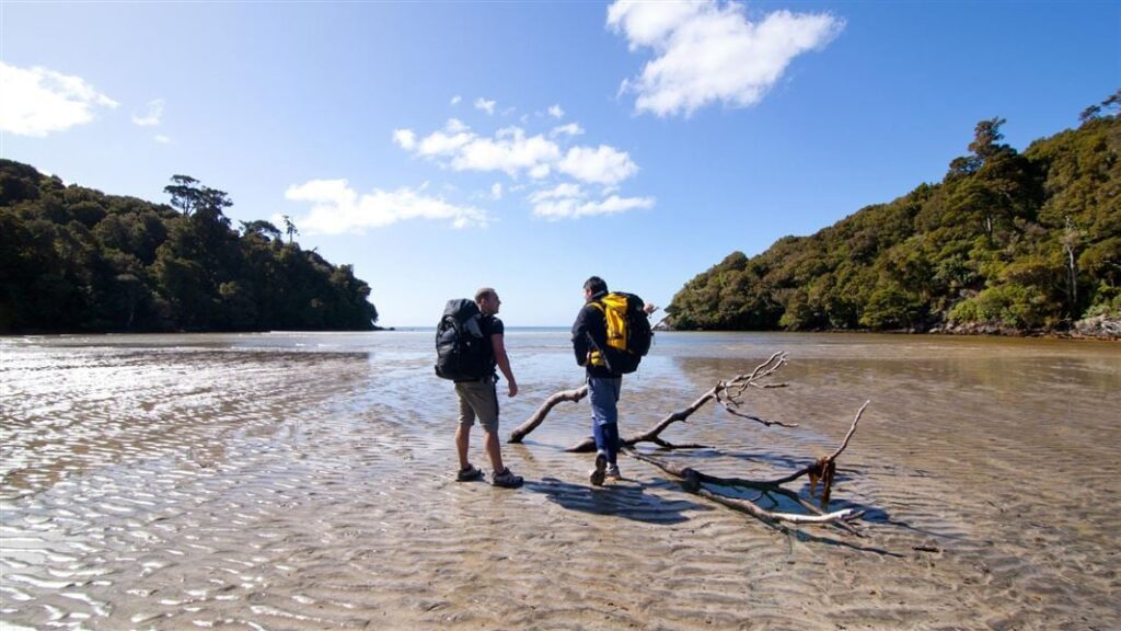 Rakiura Track on Stewart Island, New Zealand