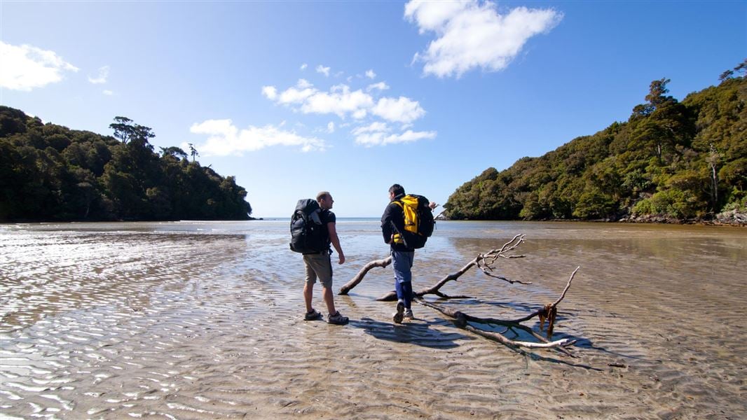 Rakiura Track on Stewart Island, New Zealand
