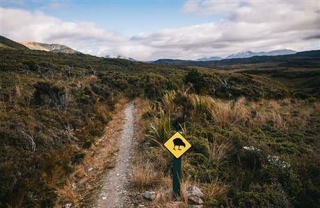 Heaphy Track in Kahurangi National Park, New Zealand