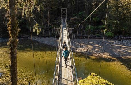Paparoa Track on the West Coast, New Zealand