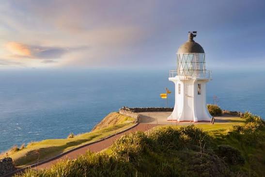 Auckland to Cape Reinga road trip, Northland NZ — Campervanz Rentals